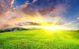 landscapes_sun_grass_desktop_1920x1200_hd-wallpaper-11285581