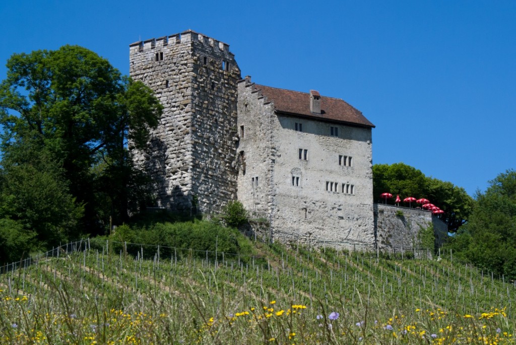 zamek-Habsburg