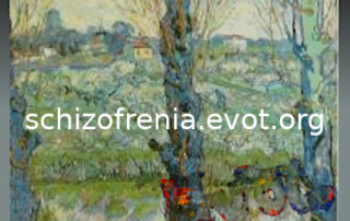 schizofrenia.evot.org